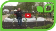 Gartenvideo des Monats - Juni