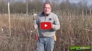 Gartenvideo des Monats - Februar