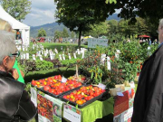 Gartenmarkt im Strandbad