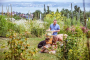 Vom Bodensee ein Katzensprung:  Altnauer Apfelweg im Thurgau